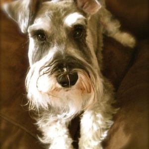 Meet your Posher, Katherine